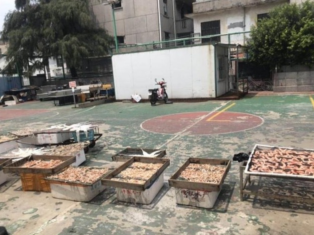 深圳开渔迎满月 海鲜种类繁多价格下降