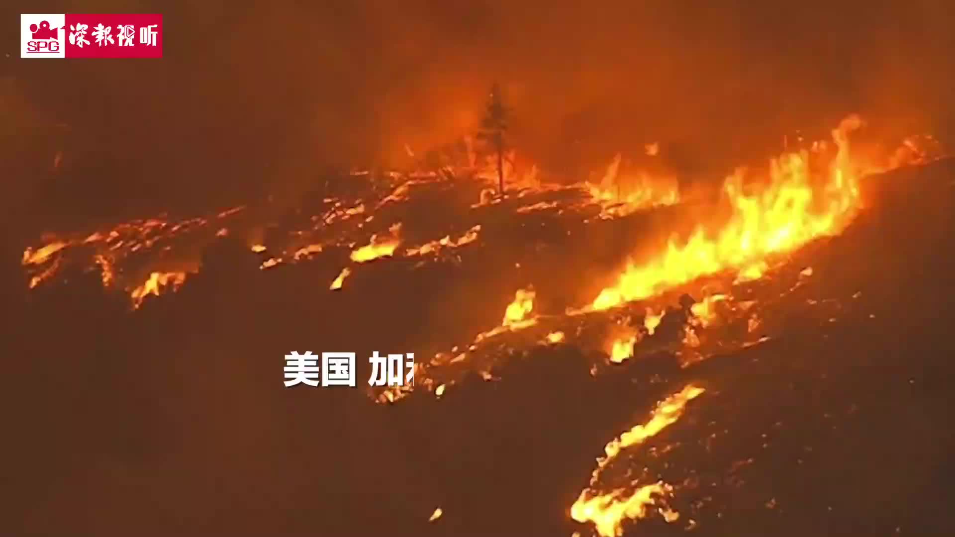 加州史上最大山火烧至景区 游人开车逃离“炼狱”画面曝光