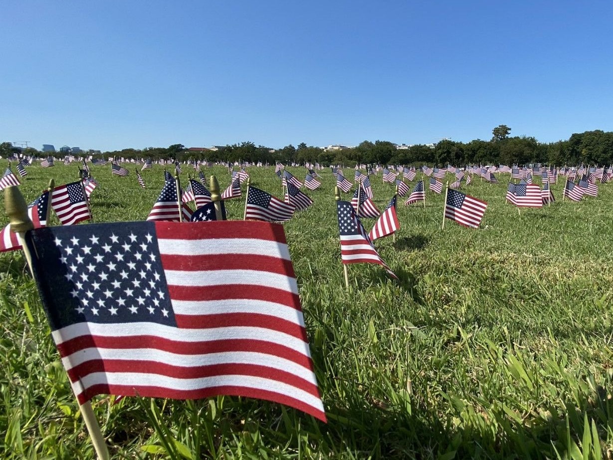 面向白宫！美国志愿者在国家广场插2万国旗，纪念20万新冠死者