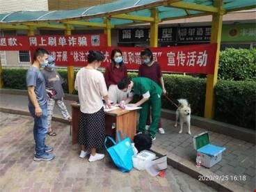 东晓街道东晓社区开展“依法文明养犬，共建和谐家园”的宣传活动