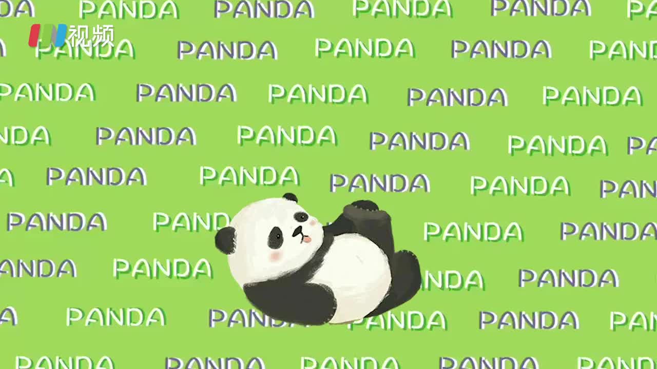 国际熊猫节！今天是圆滚滚的节日，你了解熊猫的一天嘛？