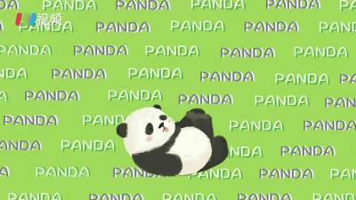 国际熊猫节！今天是圆滚滚的节日，你了解熊猫的一天嘛？