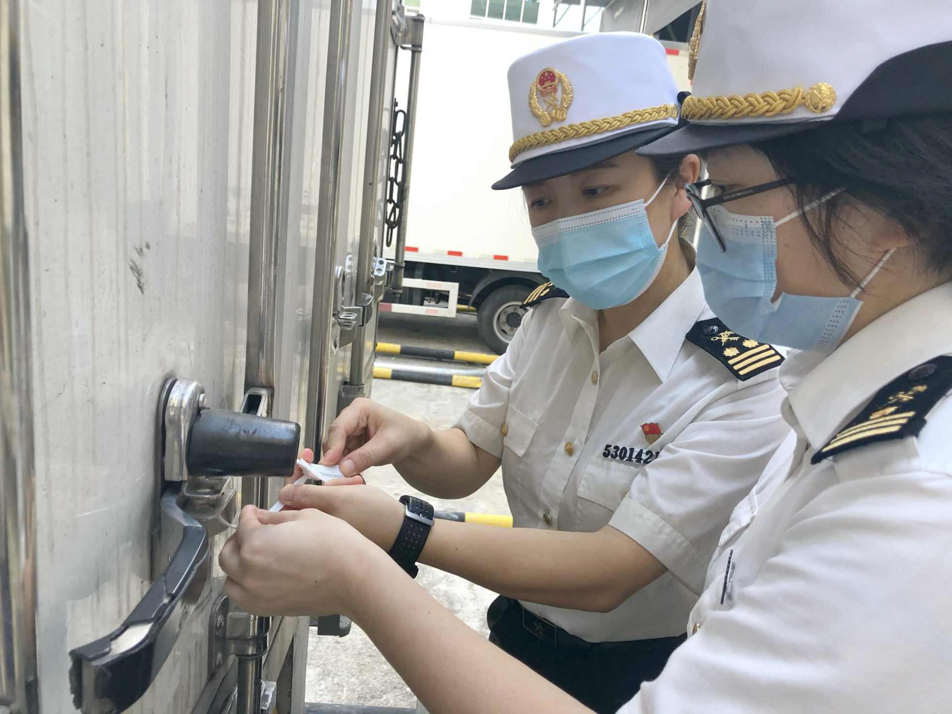 满载800箱供港蔬菜 龙华区首票供港蔬菜顺利出口