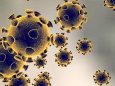 美《国家科学院院刊》：新冠病毒变异位点有限，全球所有人或能用同一种疫苗
