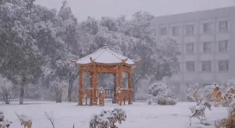 多地迎来降雪，你的秋裤安排上了吗？