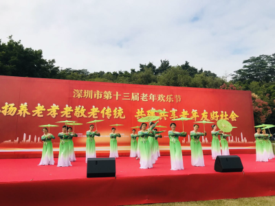 深圳市第十三届老年欢乐节开幕