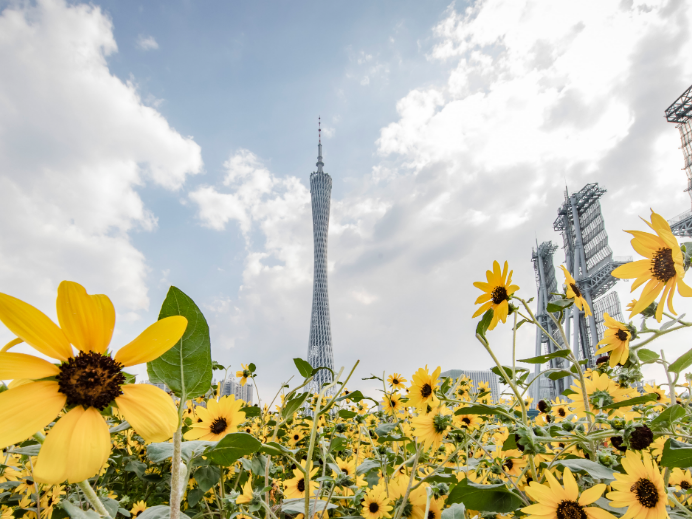 最低气温跌破20℃，晴朗天气持续在线