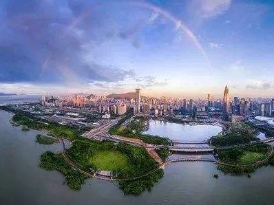 南方科技大学规划发展部部长王苏生：释放自主权 推动深圳不断先行先试