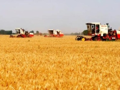 农业农村部：粮食丰收已成定局，预计产量达到历史最好水平