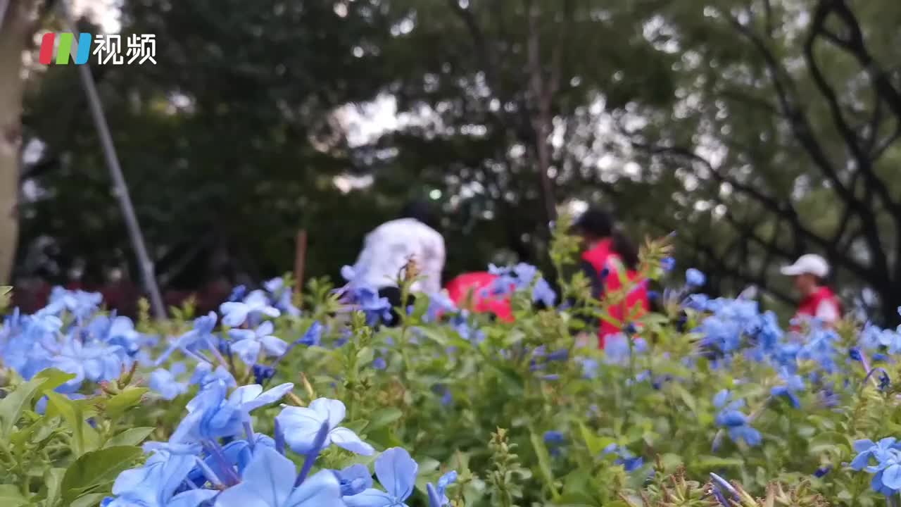 DIY自己的城市花园！深圳20个社区花园邀请市民设计