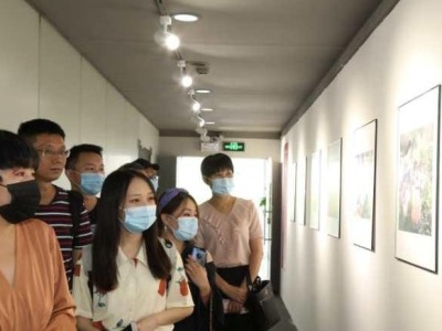 第八届“沣标杯”国际听障摄影获奖作品展在深圳福田美术馆巡展  