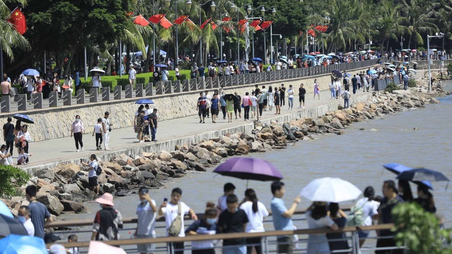 深圳各公园节日期间游人如织 莲花山、深圳湾、香蜜湖成为打卡地