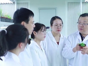 中国团队发现植物干细胞广谱抗病毒机制，为粮食稳产带来曙光
