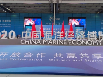 共发放12万张！深圳通免费乘车票直通海博会看展