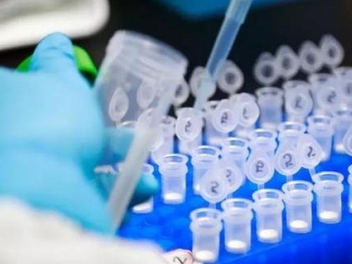 美国新冠累计确诊超825万例，死亡逾22万例