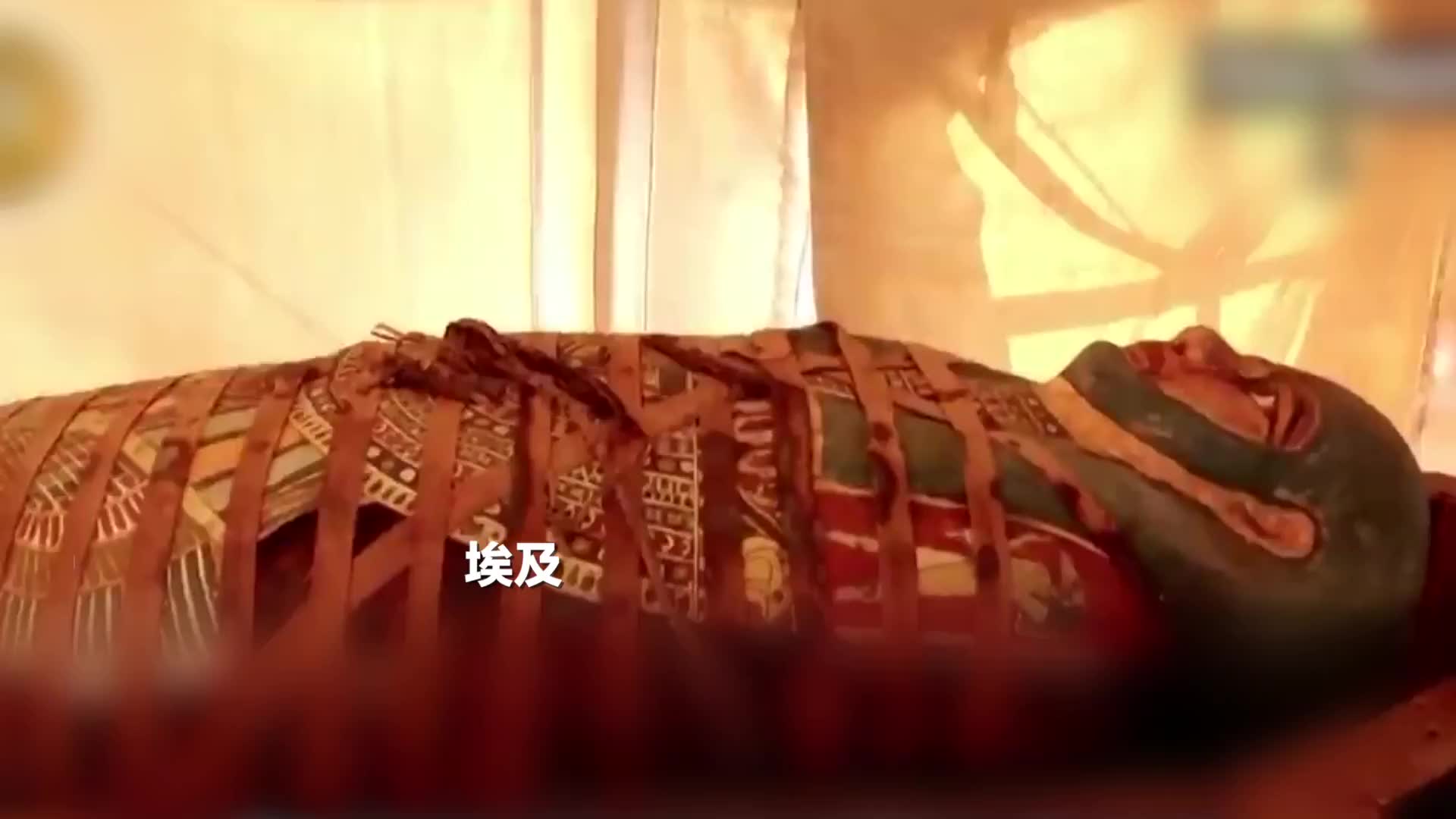 埃及百年重大考古发现，80具千年石棺重见天日