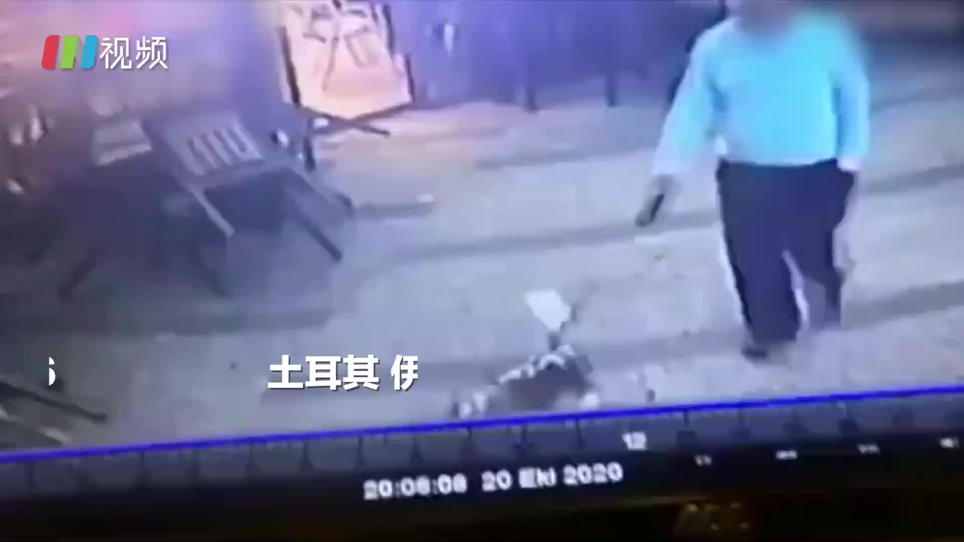 男子遛狗遭野猫袭击 为保狗子险丢裤子