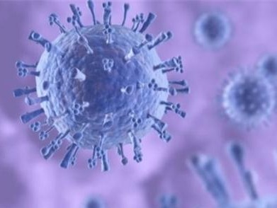日本研究：新冠病毒吸附在人体肌肤后可保持9小时的传染能力 
