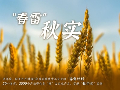 阿里“春雷计划”半年助农直播200万场，中国农业正在形成“新四化”
