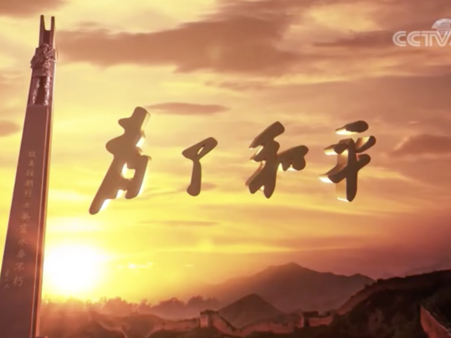 《为了和平》第二集：殊死较量