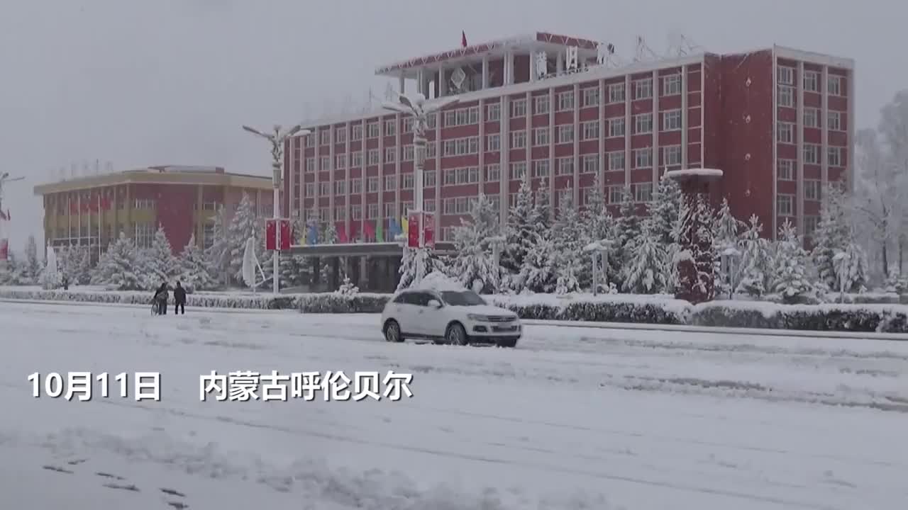 下雪了！大兴安岭满归林区积雪超20厘米