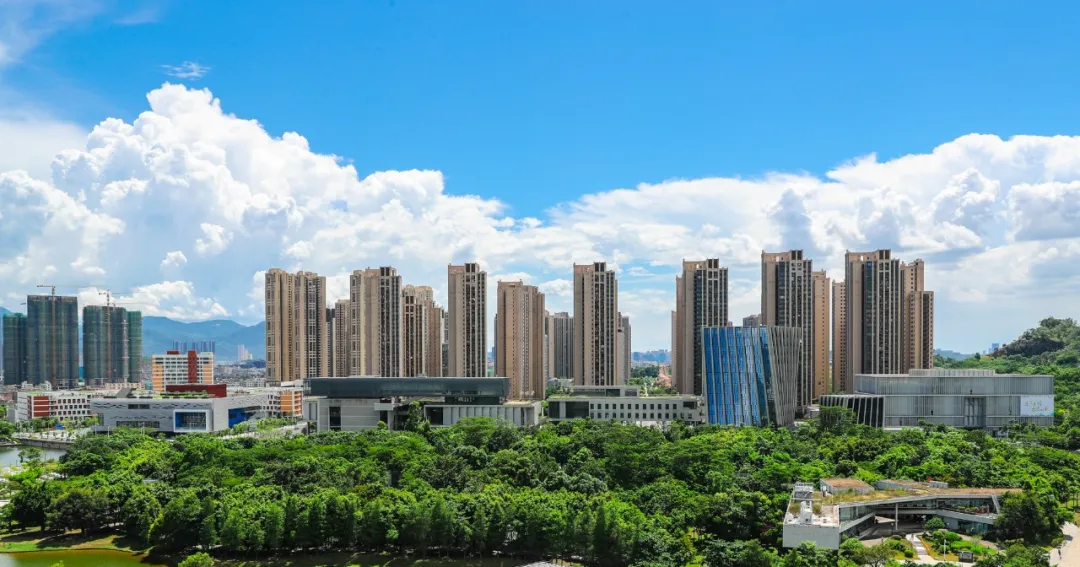 坪山教师队伍纳新！邀您续写更多“春天的故事”