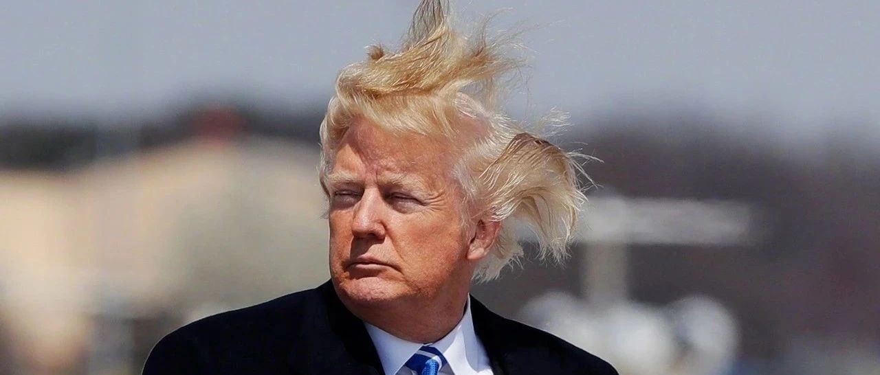 理发也能退税！避税丑闻摧毁特朗普的连任之路？