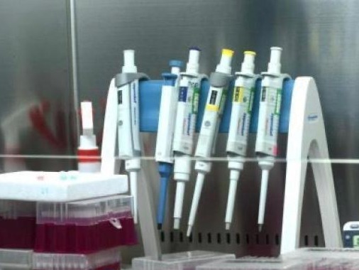 青岛新增核酸检测阳性9人 其中4例为确诊病例
