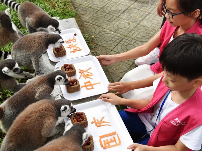 假期第一天：升国旗、动物吃“月饼”、中秋晚会......深圳各景区超红火