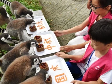 假期第一天：升国旗、动物吃“月饼”、中秋晚会......深圳各景区超红火