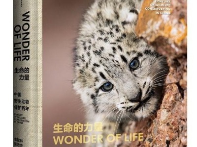 荐书 | 《生命的力量》：用摄影集的形式，回溯中国野生动物保护百年历程