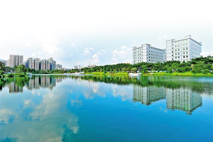 新桥：以量变之径谋蝶变之果  兴城区惠民生，深圳西部城市中心品质城区正崛起