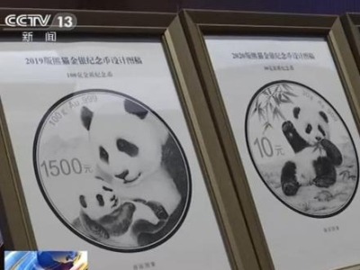 2021版熊猫金银纪念币图稿首次公布