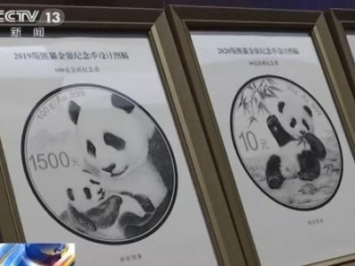 视频丨2021版熊猫金银纪念币图稿首次公布