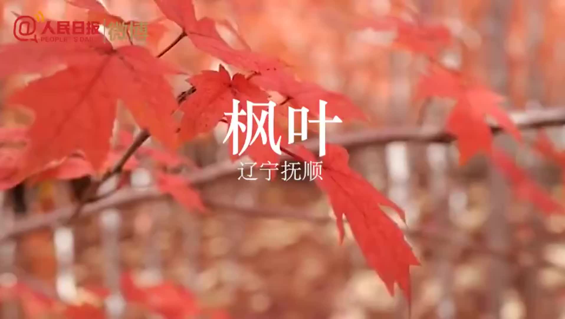 惊艳！中华大地开启秋色滤镜