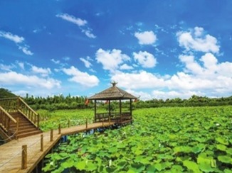 珠海公布第二批广东省文化和旅游特色村推荐参评名单