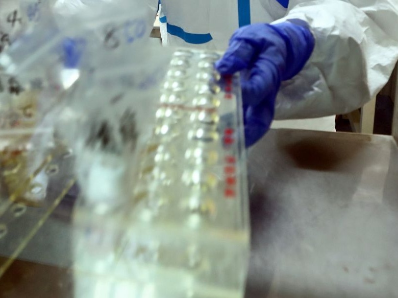 意大利日新增确诊病例超2万 总理宣布全国实施宵禁