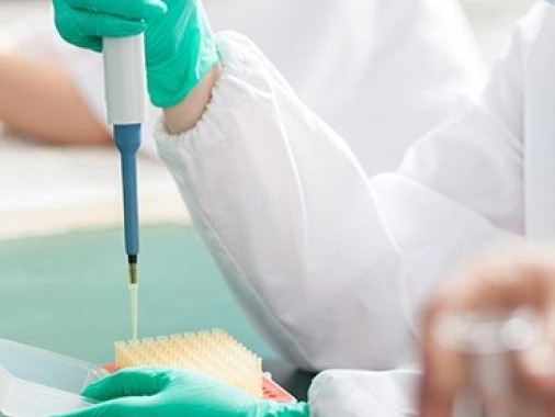 日本大学发生新冠病毒群聚感染，62名社团成员确诊