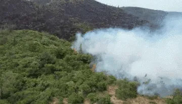 奋战超四十小时，南澳山火明火基本被扑灭