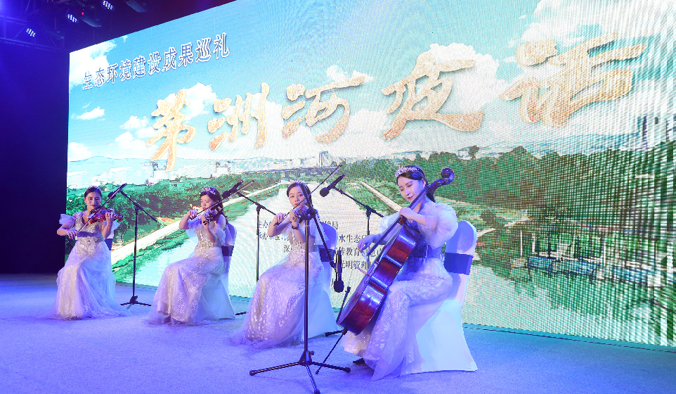 【关注】桂花飘香，茅洲夜话！一起为深圳光明水环境“蝶变”点赞