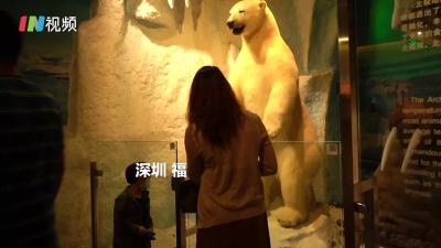 第一次到博物馆的小朋友有多开心？ 直呼要买一只北极熊