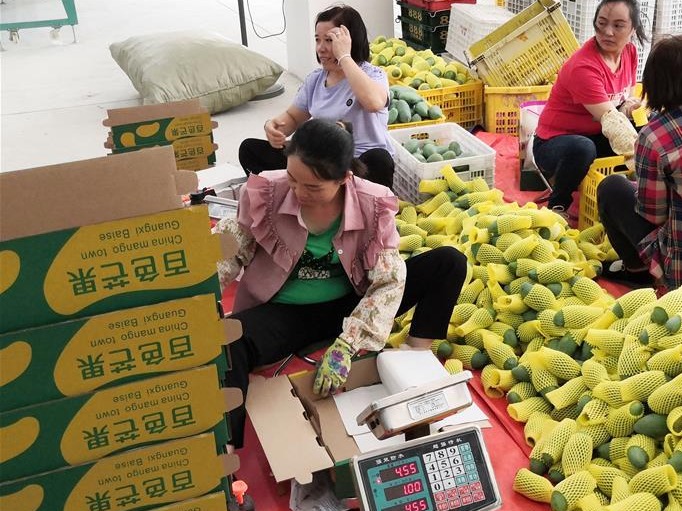同饮一江水 携手奔小康——深圳牵头粤桂扶贫协作探索脱贫长效机制