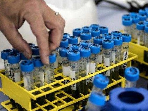 巴西新冠肺炎确诊病例超500万