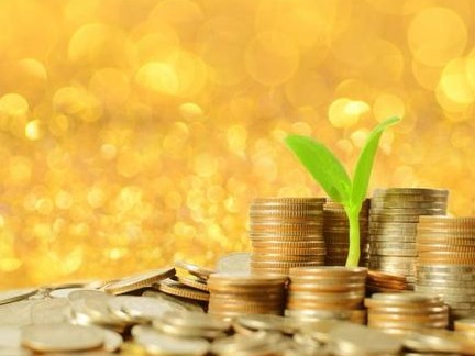 特色专区将亮相金博会，深圳金融系统扶贫成果“逐个数”