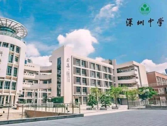 全省第一！10名深中学子代表广东省队参加全国中学生数学冬令营