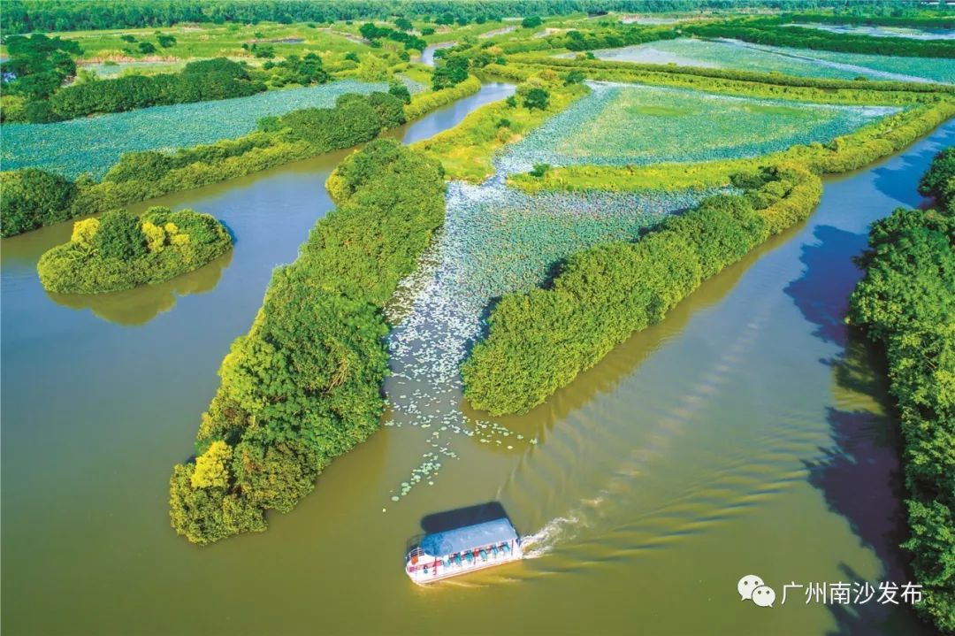 万顷沙片区将进行规划检讨，发展新型产业园区和总部基地