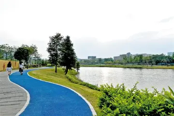 美哉！宝安人才林公园