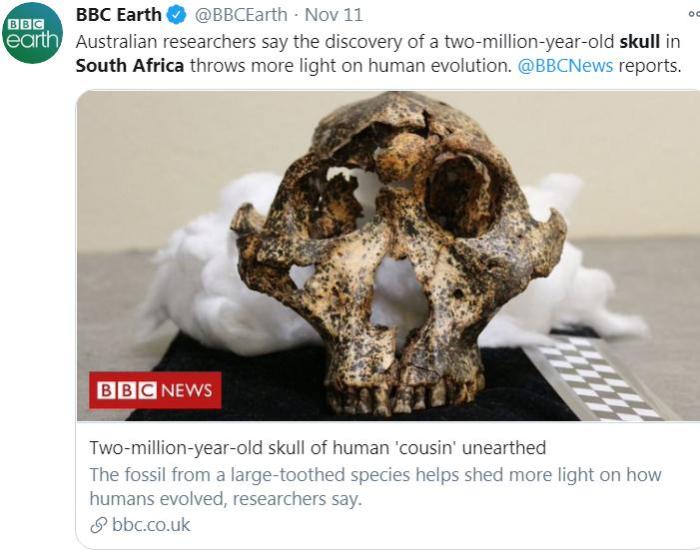 南非发现200万年前头骨化石 提供人类进化新信息 