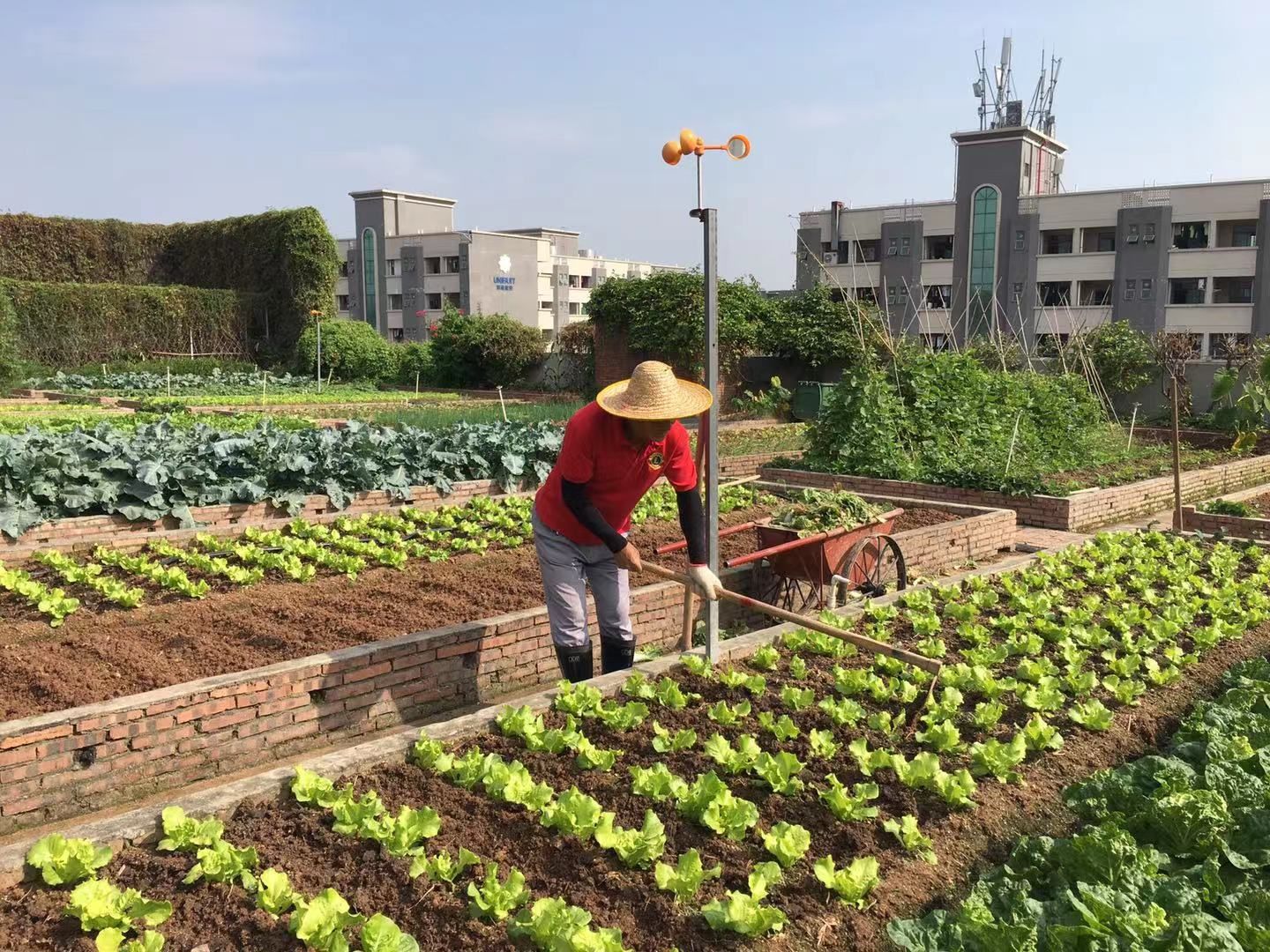 “光盘行动”助推餐厨垃圾减量 企业食堂这么做