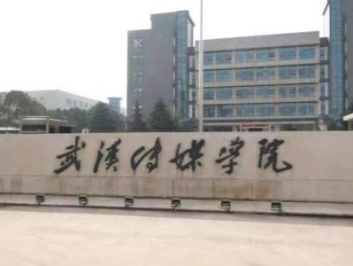 武汉传媒学院回应“学生疑盗用作品参赛”：零容忍，开展调查